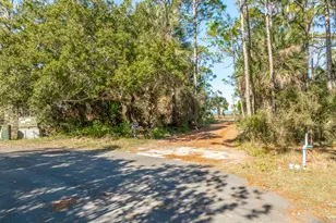 1247 Avocet Ln, Saint George Island, FL 32328 - Photo 1