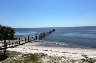 3186 Hwy 98 E, Carrabelle, FL 32322 - Photo 6