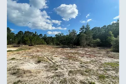 1111 NE Ave I, Carrabelle, FL 32322 - Photo 2