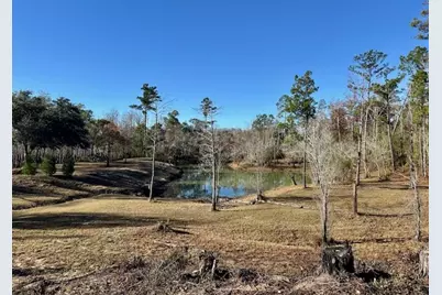 180 W Arm Dr, Wewahitchka, FL 32465 - Photo 18