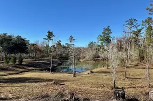 180 W Arm Dr, Wewahitchka, FL 32465 - Photo 18