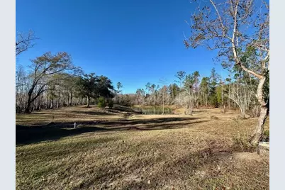 180 W Arm Dr, Wewahitchka, FL 32465 - Photo 14