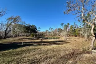 180 W Arm Dr, Wewahitchka, FL 32465 - Photo 14