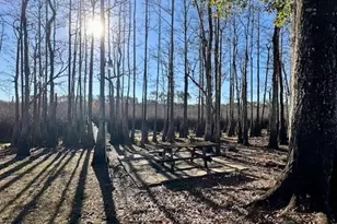 180 W Arm Dr, Wewahitchka, FL 32465 - Photo 10