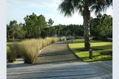 960 Backwater Rd, Port Saint Joe, FL 32456 - Photo 48