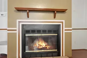 7145 David Whitfield Rd, Wewahitchka, FL 32465 - Photo 4