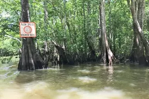 7145 David Whitfield Rd, Wewahitchka, FL 32465 - Photo 24