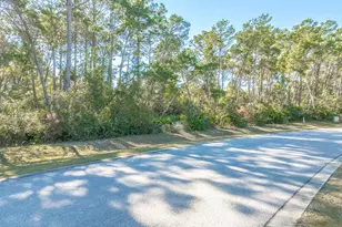171 Lakes On The Bluff Dr, Eastpoint, FL 32328 - Photo 1
