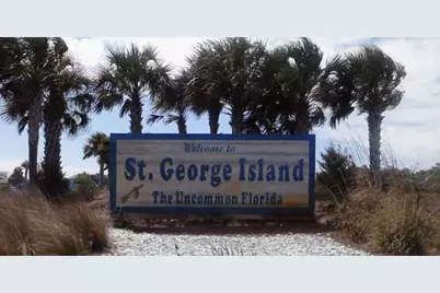 1723 Kingfisher Rd, Saint George Island, FL 32328 - Photo 62