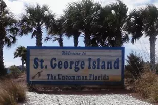 1723 Kingfisher Rd, Saint George Island, FL 32328 - Photo 62