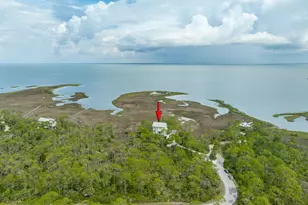 1723 Kingfisher Rd, Saint George Island, FL 32328 - Photo 52