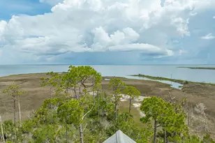 1723 Kingfisher Rd, Saint George Island, FL 32328 - Photo 56