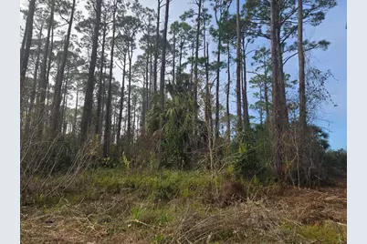 0 Eventide Dr, Port Saint Joe, FL 32456 - Photo 1