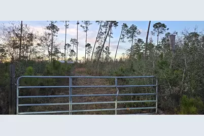 9641 Cr 386 N, Wewahitchka, FL 32465 - Photo 2
