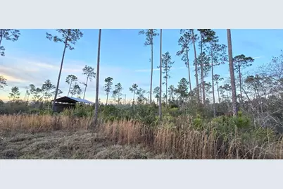 9641 Cr 386 N, Wewahitchka, FL 32465 - Photo 8