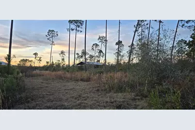 9641 Cr 386 N, Wewahitchka, FL 32465 - Photo 1