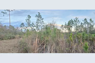 9641 Cr 386 N, Wewahitchka, FL 32465 - Photo 6