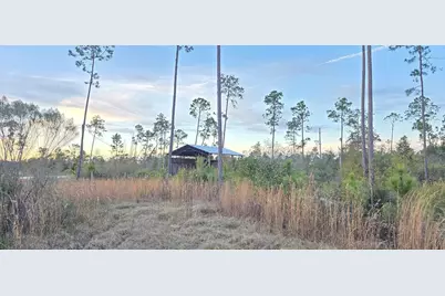 9641 Cr 386 N, Wewahitchka, FL 32465 - Photo 4