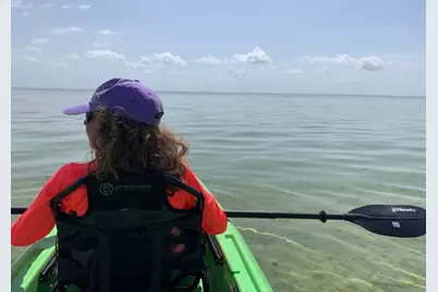 572 Jones Homestead Rd, Port Saint Joe, FL 32456 - Photo 2