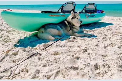 572 Jones Homestead Rd, Port Saint Joe, FL 32456 - Photo 4