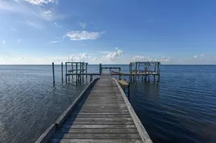 2123 Blue Heron Trail, Saint George Island, FL 32328 - Photo 8