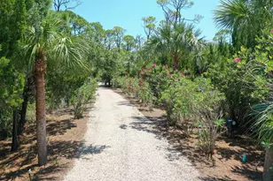 2123 Blue Heron Trail, Saint George Island, FL 32328 - Photo 58
