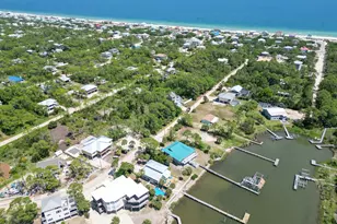 509 W Sawyer St, Saint George Island, FL 32328 - Photo 62