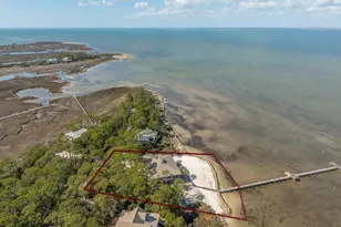 1419 Dove Ln, Saint George Island, FL 32328 - Photo 62