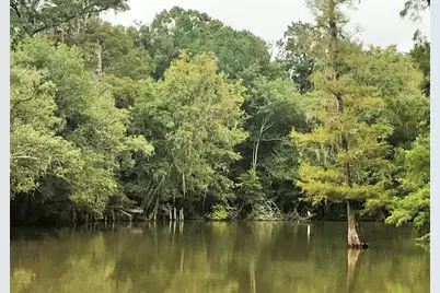 351 Burgess Creek Rd, Wewahitchka, FL 32465 - Photo 26