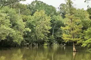 351 Burgess Creek Rd, Wewahitchka, FL 32465 - Photo 26