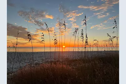 351 Burgess Creek Rd, Wewahitchka, FL 32465 - Photo 30