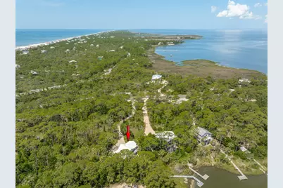 1223 Avocet Ln, Saint George Island, FL 32328 - Photo 10