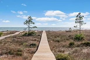 2298 Indian Pass Rd, Port Saint Joe, FL 32456 - Photo 52