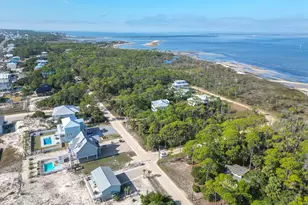 724 E Pine Ave, Saint George Island, FL 32328 - Photo 46