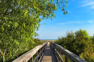 120 McCosh Mill Rd, Cape San Blas, FL 32456 - Photo 56