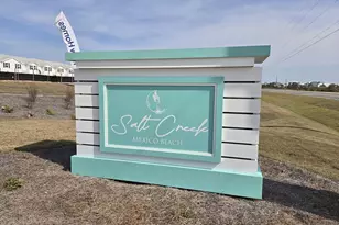 239 Salt Creek Ln, Mexico Beach, FL 32456 - Photo 4