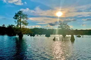 274 Abby Dr, Wewahitchka, FL 32465 - Photo 20