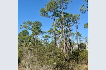 1735 Kingfisher Rd, Saint George Island, FL 32328 - Photo 2