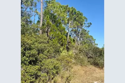 1735 Kingfisher Rd, Saint George Island, FL 32328 - Photo 4