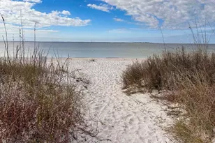 321 Sea Tern Ln, Port Saint Joe, FL 32456 - Photo 38