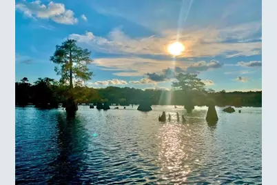 Lot 9 Jazzy Lane, Wewahitchka, FL 32465 - Photo 4