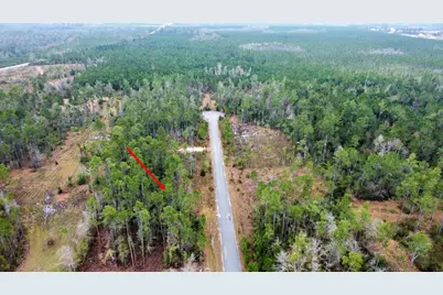 Lot 9 Jazzy Lane, Wewahitchka, FL 32465 - Photo 1