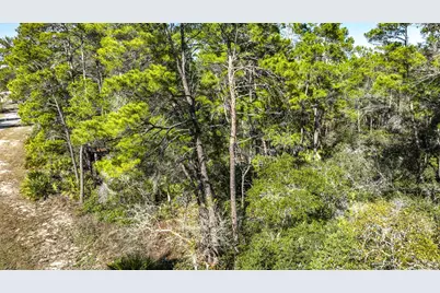 151 Pinnacle St, Carrabelle, FL 32322 - Photo 10