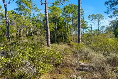 1279 Avocet Ln, Saint George Island, FL 32328 - Photo 16