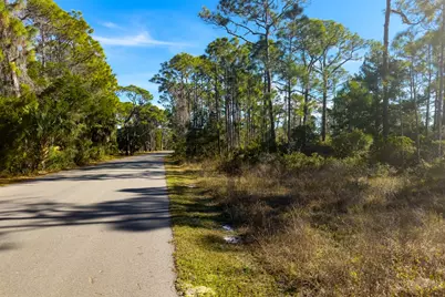 1279 Avocet Ln, Saint George Island, FL 32328 - Photo 12