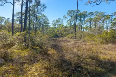 1279 Avocet Ln, Saint George Island, FL 32328 - Photo 30