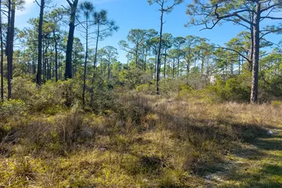 1279 Avocet Ln, Saint George Island, FL 32328 - Photo 14