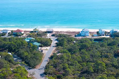 1279 Avocet Ln, Saint George Island, FL 32328 - Photo 22
