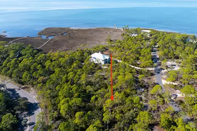 1279 Avocet Ln, Saint George Island, FL 32328 - Photo 10
