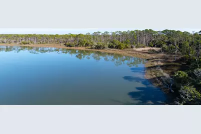 1279 Avocet Ln, Saint George Island, FL 32328 - Photo 32